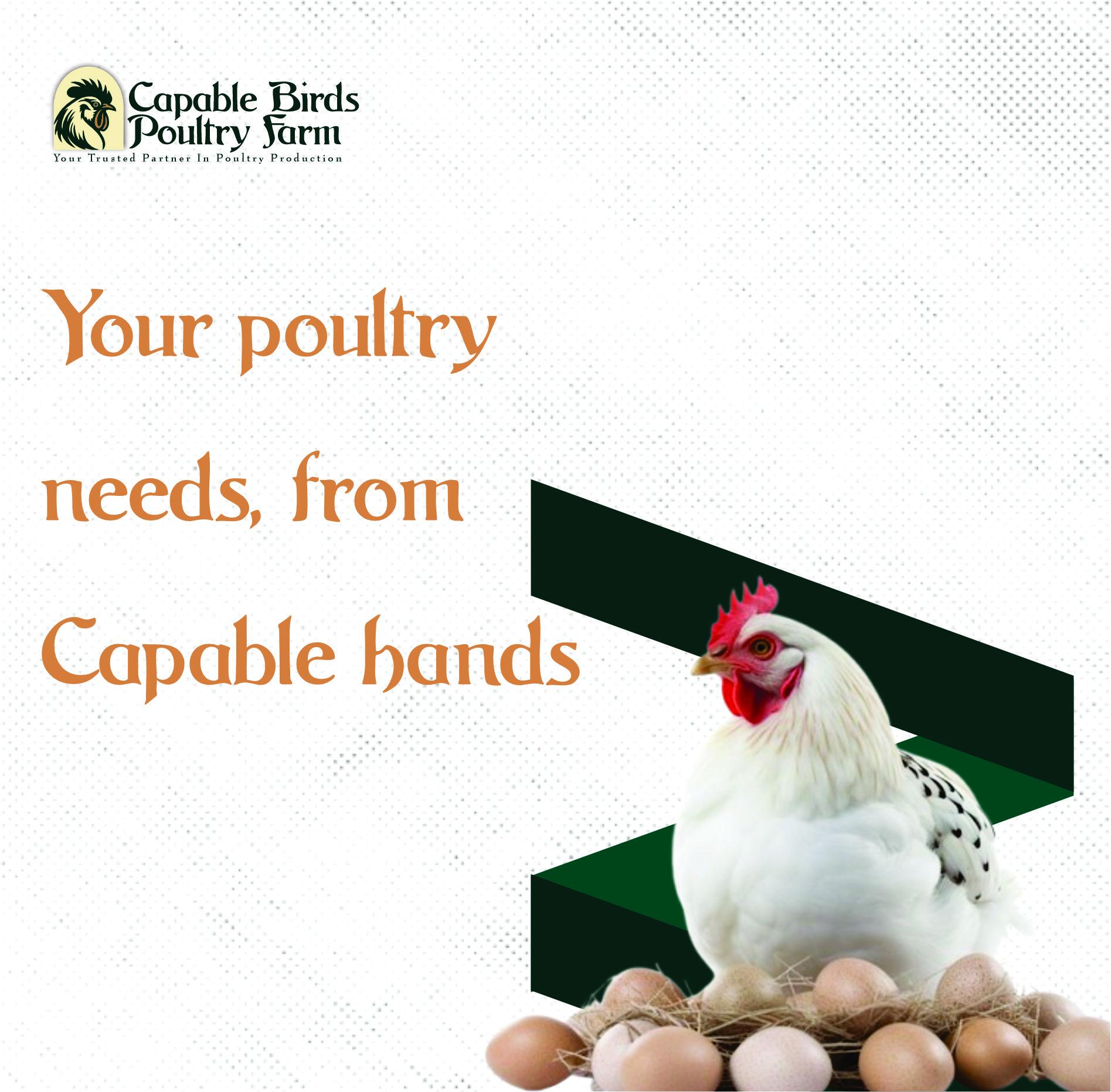 Login to your account